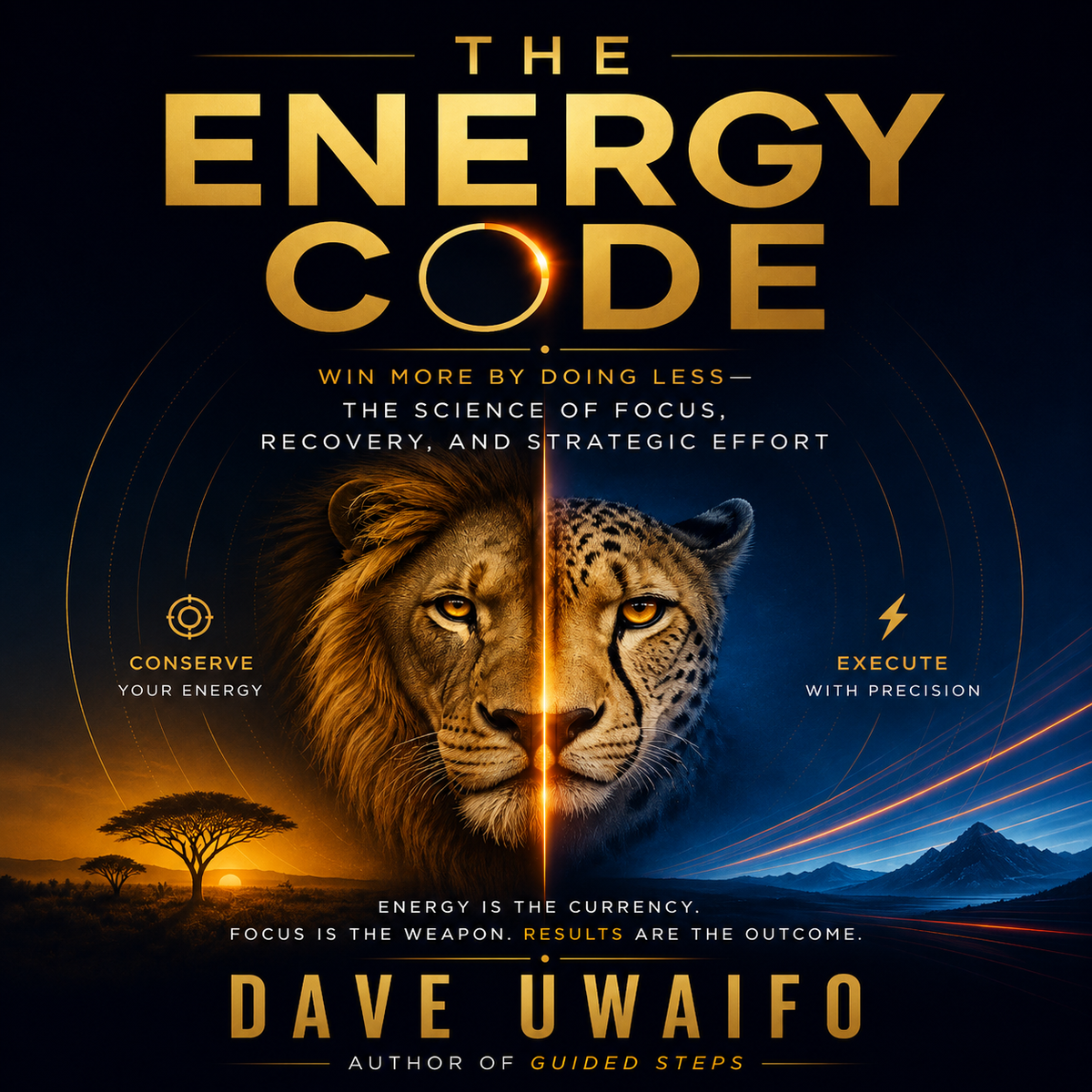 THE ENERGY CODE - Win More by Doing Less — The Science of Focus, Recovery, and Strategic Effort original artwork